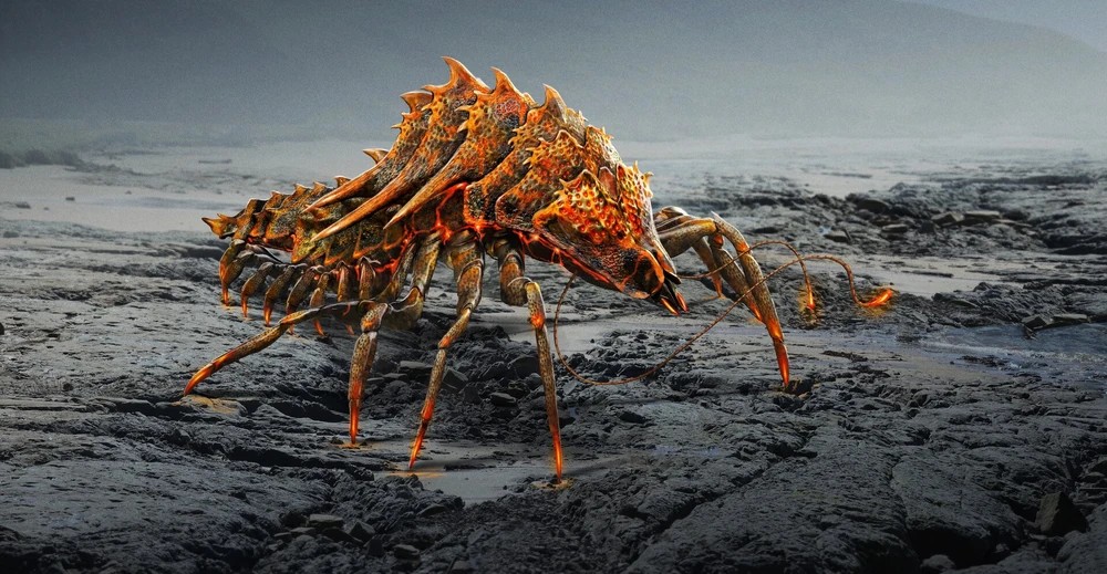 Endoswarmeer - Legacy Of Monsters Store